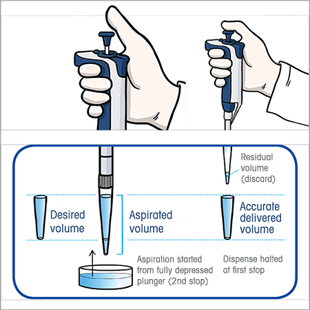 How to Reverse Pipette