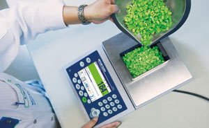 Counting Scale Counting Scale